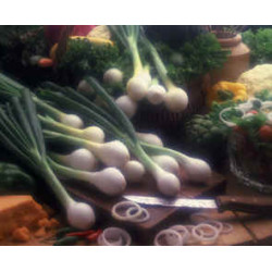 (Out of Season) Baby Vidalia Onions