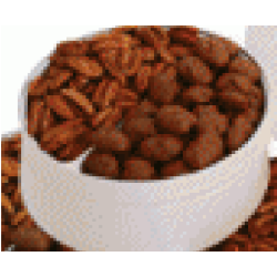 Combination Chocolate Covered Pecans & Toasted & Salted Pecans 36 oz Tin