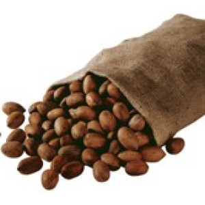Pecans and Other Nuts